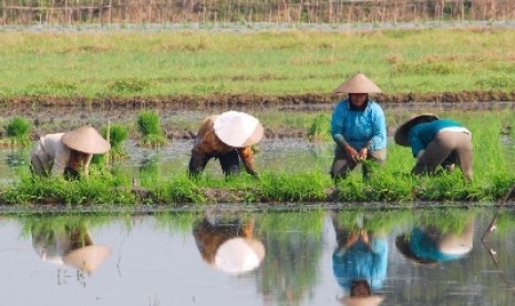 Rejang Lebong Cetak Sawah Baru 1.075 Hektare