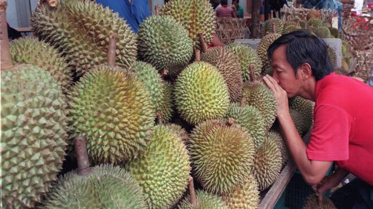 Konflik RI vs Malaysia Gara-Gara Durian, Zulhas Buka Suara