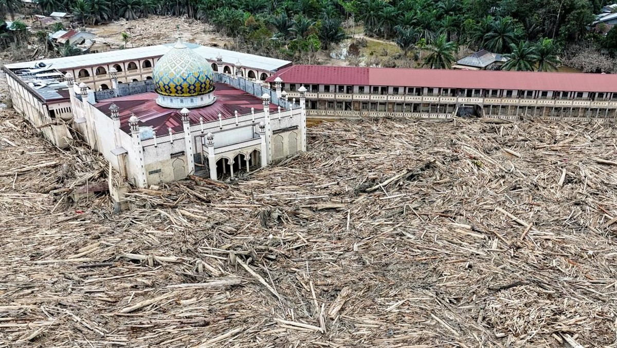 Penampakan Baru Muncul! Aceh Dikepung Ribuan Potongan Kayu Usai Banjir