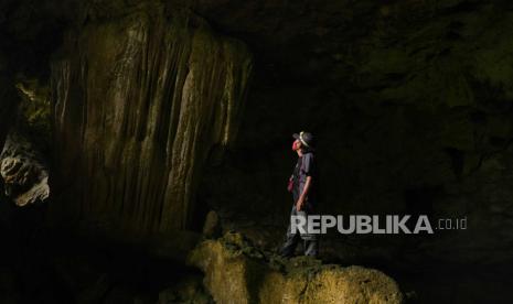 Arkeolog Ajarkan Cara Hitung Umur Lukisan Gua Tertua, Begini Caranya…