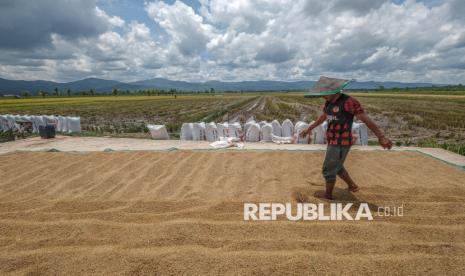 Pemprov Kepri Perkuat Sinergi Pasokan Beras Nasional
