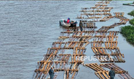 Sungai Jadi Jalur Gelap Kayu Ilegal, Kemenhut Gerebek Para Pelaku