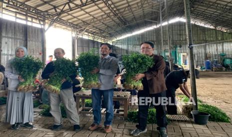 Bangun Ekonomi Warga, UPZDK Permatabank Syariah dan Dompet Dhuafa Sukses Panen Raya Seledri