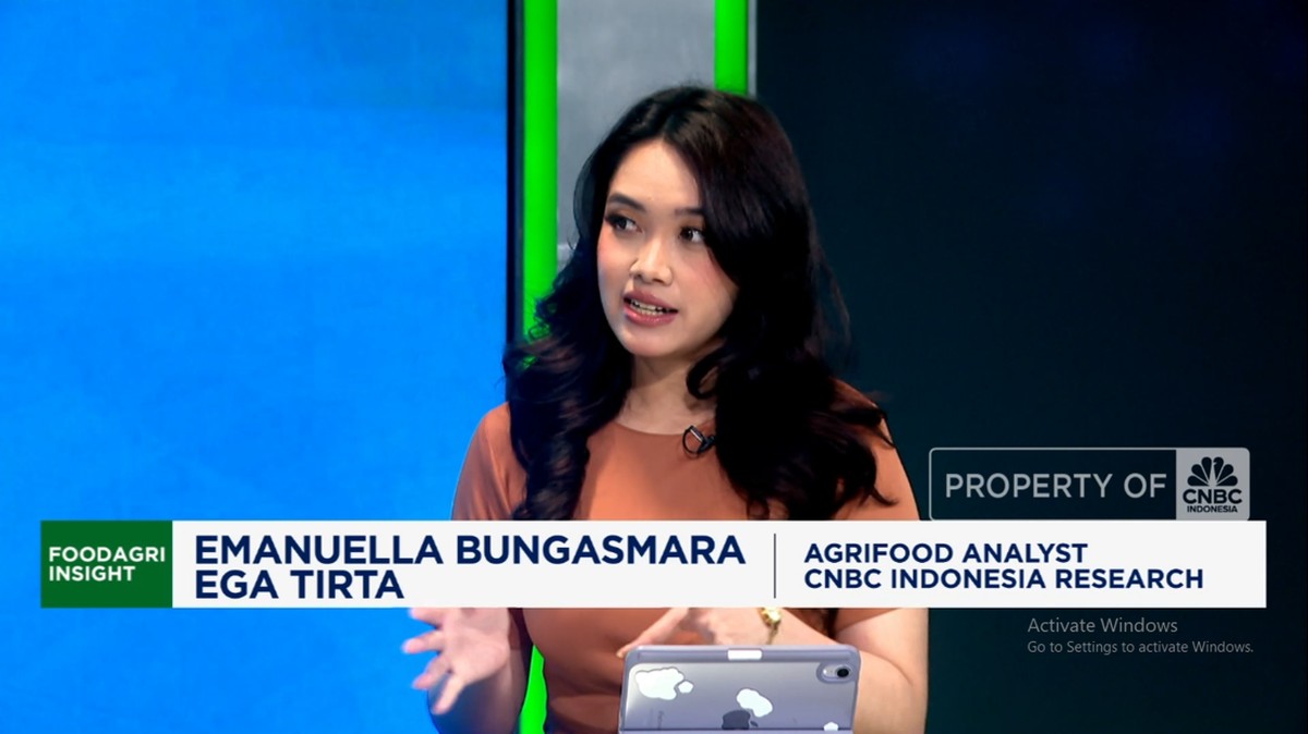 Video: Surplus Beras Dunia Dikuasai Oleh China, Apa Bahayanya?