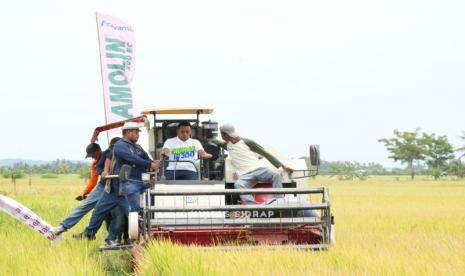 Sidrap Gelar Panen Raya Padi dengan Alsintan Modern