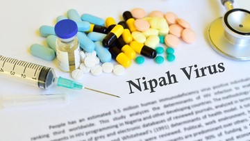 Virus Nipah Mengintai Sumut, Dinkes Perkuat Deteksi Dini