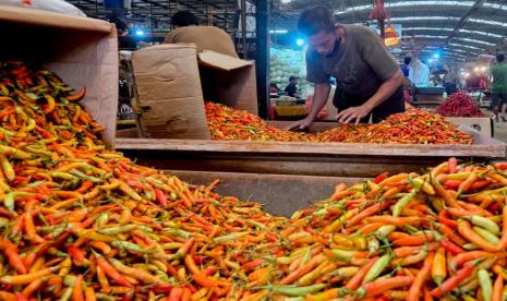 Kementan: Blitar dan Kediri Pastikan Pasokan Cabai Aman Selama Ramadhan