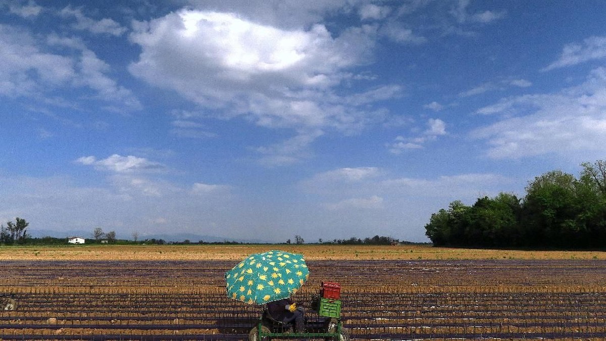 Tak Hanya Minyak, Perang AS-Iran Bawa ‘Kiamat’ Baru Bagi Dunia