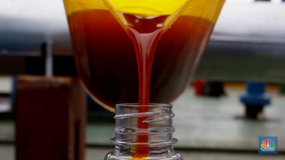 Warga AS Mulai Suka Minyak Sawit RI, China-India Sudah Ketagihan