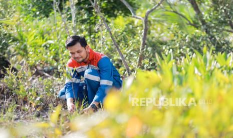 Hutan Lestari Pertamina: Menenun Harmoni Alam, Menuai Kesejahteraan Masyarakat