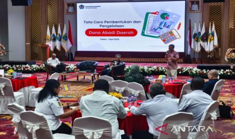 Kemenkeu Dorong Papua Tengah Bentuk Dana Abadi Daerah