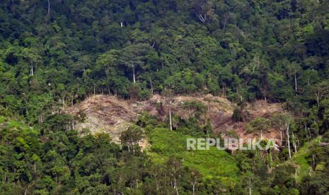 Hari Bumi 2026, Masyarakat Sipil Desak Stop Militerisme dan Deforestasi