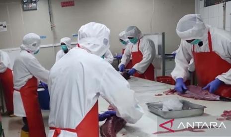 BKHIT Maluku Perketat Pengawasan Ekspor Tuna Loin