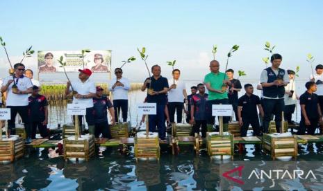 Bupati Badung Tanam Mangrove dalam Upaya Pelestarian Lingkungan