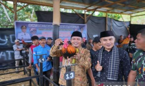 Solok Gelar Lomba Ayam Kukuak Balenggek untuk Lestarikan Budaya Lokal
