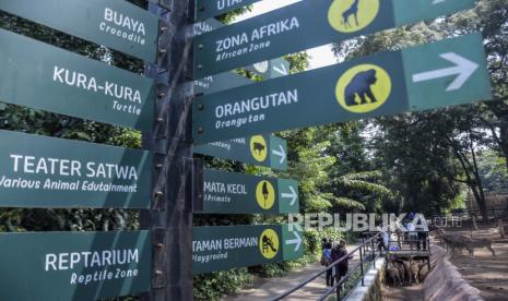 Tim Veteriner Ungkap Kesehatan dan Kesejahteraan Satwa Bandung Zoo, Begini Kondisinya