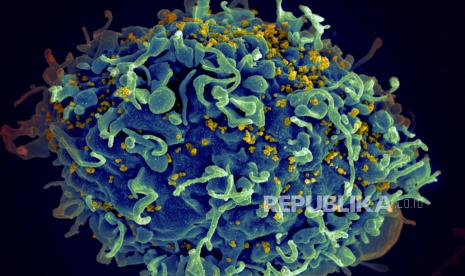 HIV Mengintai Generasi Z, Edukasi Harus Masuk Dunia Digital