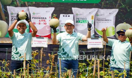 Dibantu Petrokimia Gresik, Produktivitas Petani Melon Pantura Naik 10 Persen