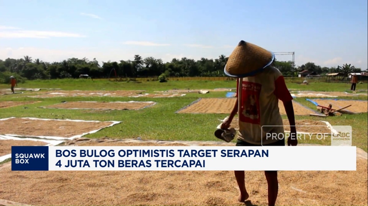 Video: Bos Bulog Optimistis Target Serapan 4 Juta Ton Beras Tercapai