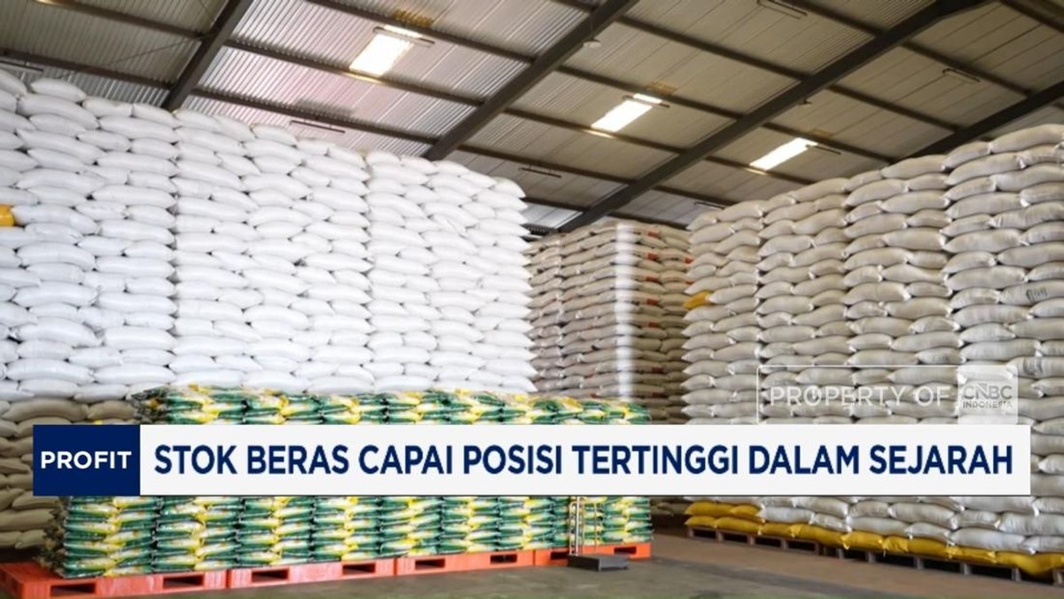 Video: Tembus 5 Juta Ton, Stok Beras RI Tertinggi Dalam Sejarah