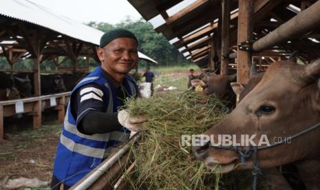 Distribusi Kurban Belum Merata, Program Ini Sasar Indonesia Timur hingga Afrika