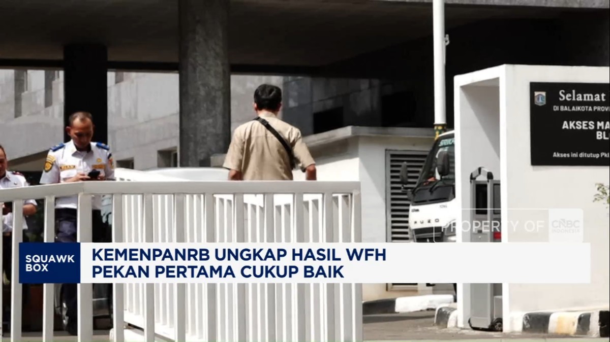 Video: Kemenpan RB Ungkap Hasil WFH ASN: Layanan Publik Tak Terganggu