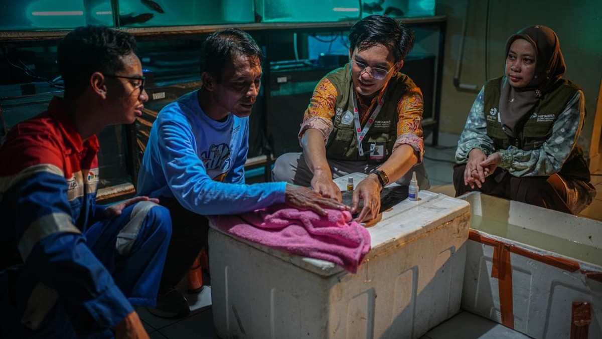 Dorong Pengelolaan Lingkungan, Ini Sederet Inovasi KPI RU III Plaju