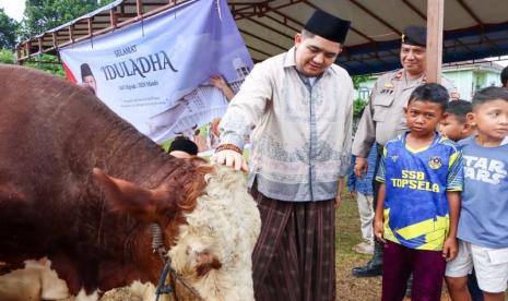 Bupati Bintan Serahkan Sapi Kurban dari Presiden Prabowo