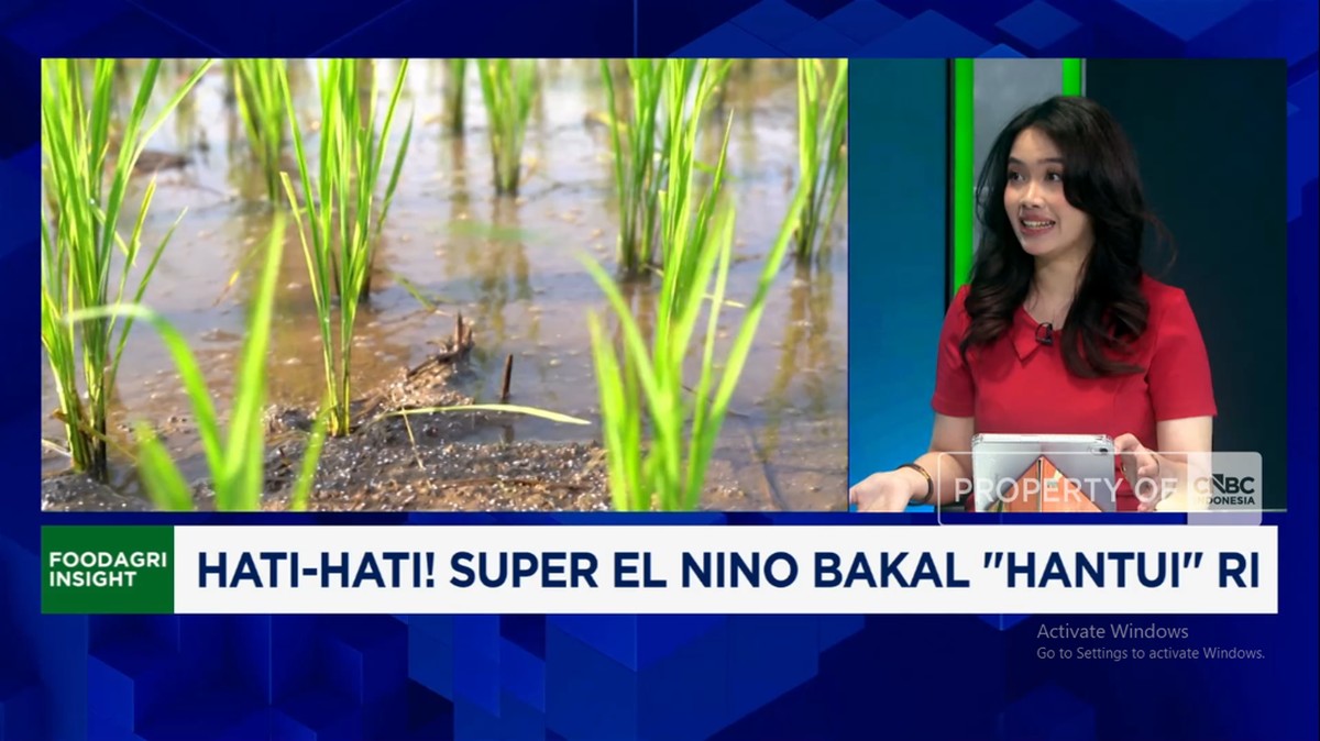 Video: Kemarau Ekstrem Ancam Produksi Pangan, Pemerintah Harus Apa?