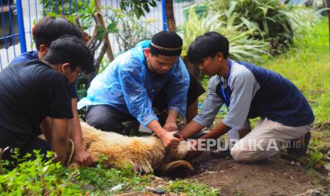 Kurban, Amal yang paling Dicintai Allah SWT