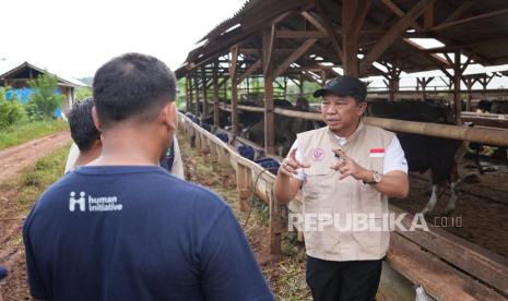 PDHI Ingatkan Waspadai PMK dan LSD Jelang Iduladha