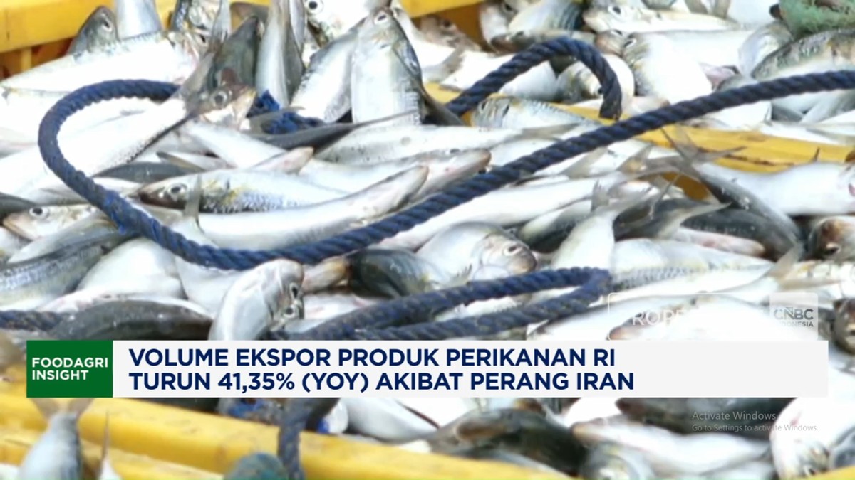 Video: Perang Bikin Volume Ekspor Produk Perikanan RI Turun 41,35%