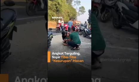 Angkot Terguling Sopir TibaTiba Kesurupan Macan
