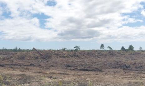 BBRMP Maluku Monitoring Program Cetak Sawah Rakyat di Enam Desa SBT