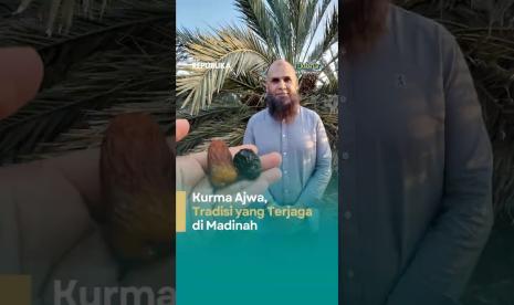 Kurma Ajwa Tradisi yang Terjaga di Madinah Sejak Zaman Rasulullah