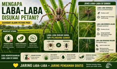 Mengapa Laba-Laba Justru Disukai Petani?