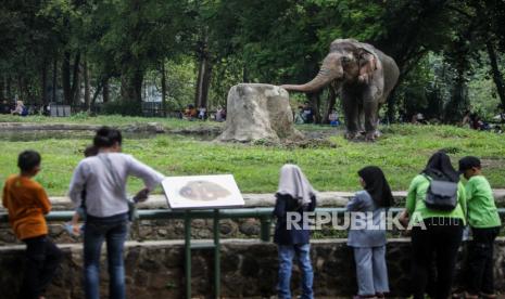 Rayakan HUT Jakarta ke-499, Pengelola Ragunan Gratiskan Tiket Masuk, Catat Tanggalnya