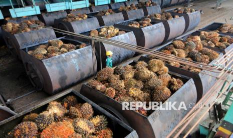 Soal Under Invoicing, Pakar: Indonesia Belum Ada Acuan Harga Sawit