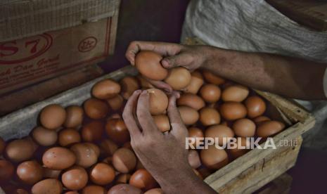 Amran Minta Pembeli Telur Patuhi HAP Rp 26.500 per Kilogram