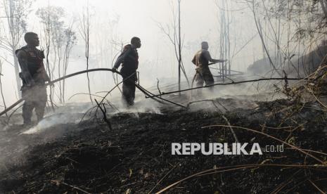 Pekanbaru hingga Surabaya Hadapi Ancaman Panas Lembap Ekstrem Akibat Krisis Iklim