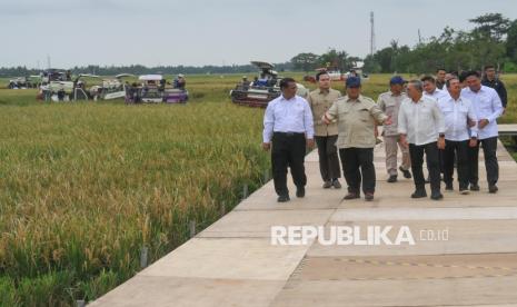 Jebakan Swasembada Beras On Trend