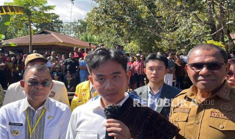 Gerindra: Tak Ada Rapat Khusus Budi Djiwandono Bahas Awasi Gibran