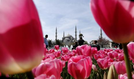 Mengapa Bunga Tulip Menjamur di Turki dan Begitu Disucikan pada Masa Ottoman?