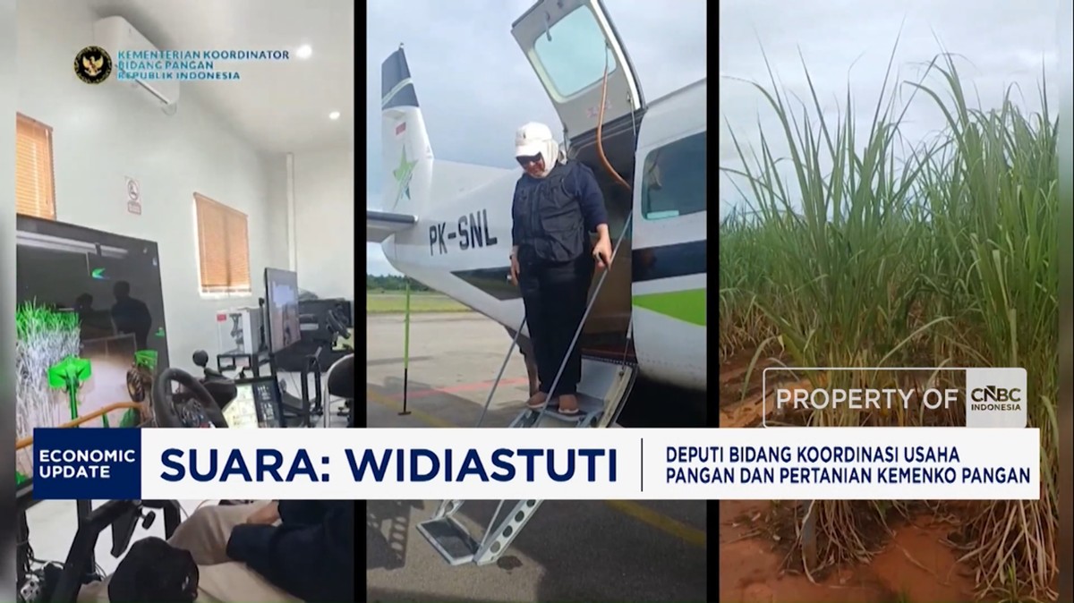 Video: Swasembada Berkelanjutan,Pemeirntah Atasi Masalah Lahan-Irigasi