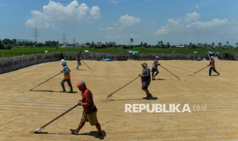 Andaikan Petani Jual Beras, Bukan Gabah