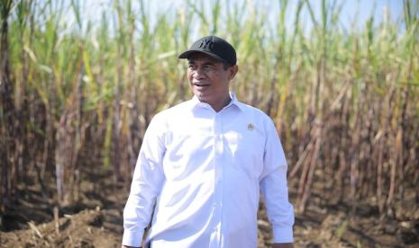 Mentan Siap Percepat Peremajaan Tebu Demi Swasembada Gula 2 Tahun