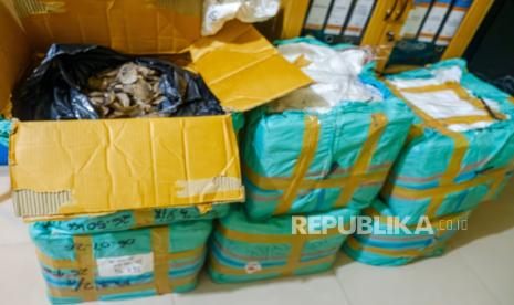 Bea Cukai Tanjungpinang Gagalkan Penyelundupan 216 Kilogram Sisik Tenggiling