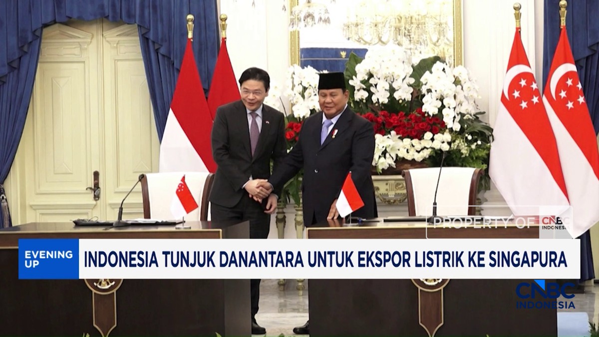 Video: Indonesia Tunjuk Danantara Untuk Ekspor Listrik ke Singapura