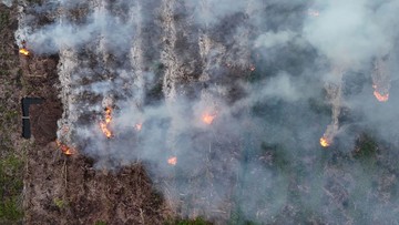 Karhutla Landa Kawasan Gunung Gombak Ponorogo, 15 Hektare Lahan Hangus