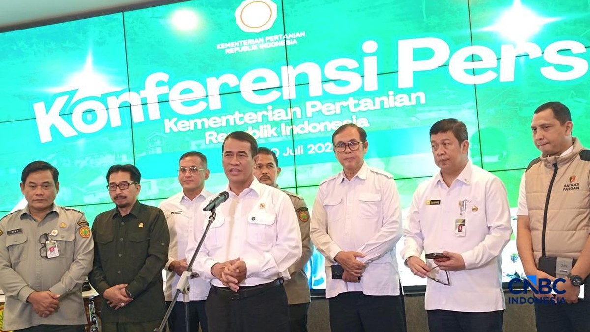 Amran Bongkar Ada Perusahaan Beras Raup Untung Tak Wajar Rp 2 T/Bulan